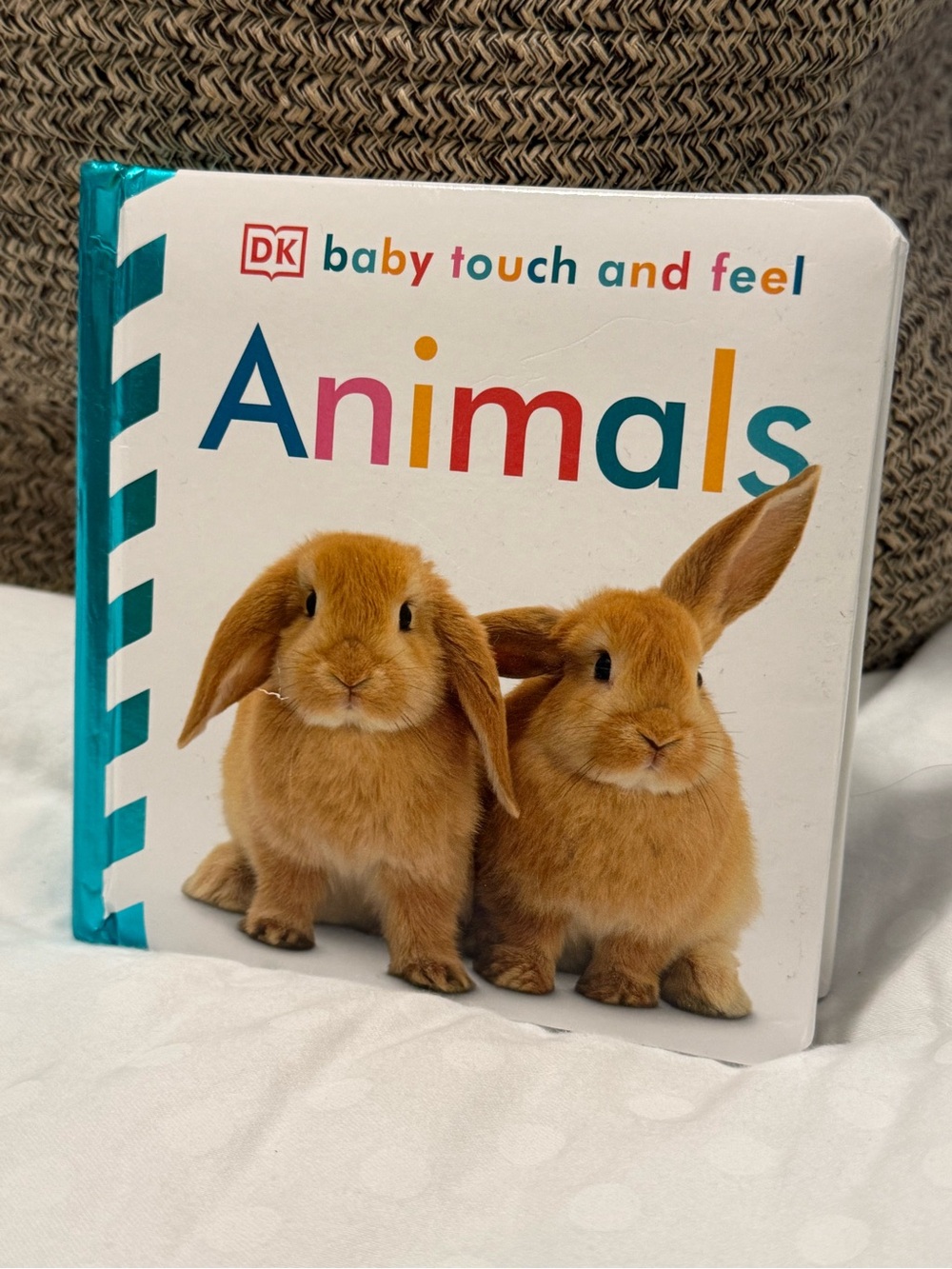 Baby Touch and Feel: Animals Board Book - Orange Bunny